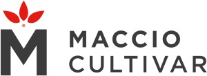 Logo Maccio